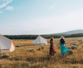 Yellowstone Glamping